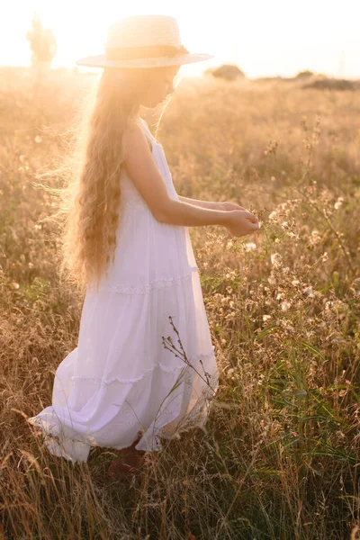 麦わら帽子をかぶった白いドレスを着た夕日の夏のフィールドでブロンドの長い髪を持つかわいい女の子 — ストック写真