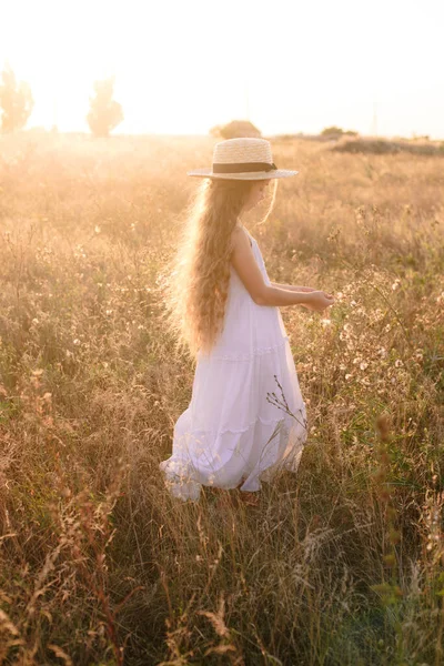 Cute Little Girl Blond Długie Włosy Polu Letnim Zachodzie Słońca — Zdjęcie stockowe