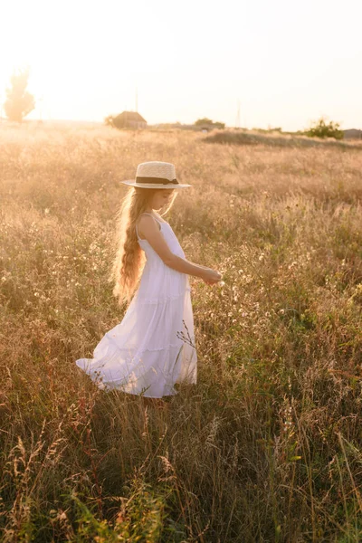 Menina Bonito Com Cabelos Longos Loiros Campo Verão Pôr Sol — Fotografia de Stock