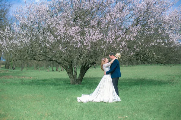 Bride Groom Blond Long Hair White Dress Spring Garden Flowering — Stock Photo, Image