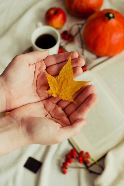 紅茶カボチャのリンゴと黄色の葉のカップの秋の静物を背景に松の黄色の葉で手 秋の気分 — ストック写真