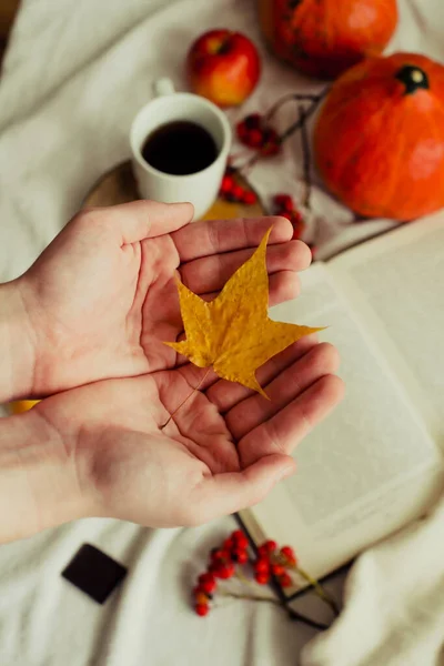 紅茶カボチャのリンゴと黄色の葉のカップの秋の静物を背景に松の黄色の葉で手 秋の気分 — ストック写真