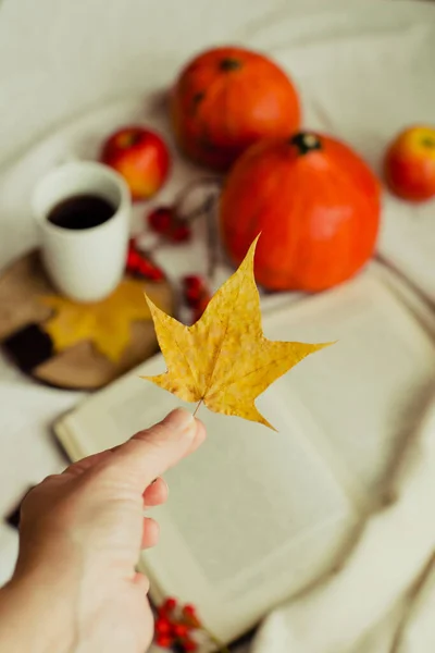 紅茶カボチャのリンゴと黄色の葉のカップの秋の静物を背景に松の黄色の葉で手 秋の気分 — ストック写真