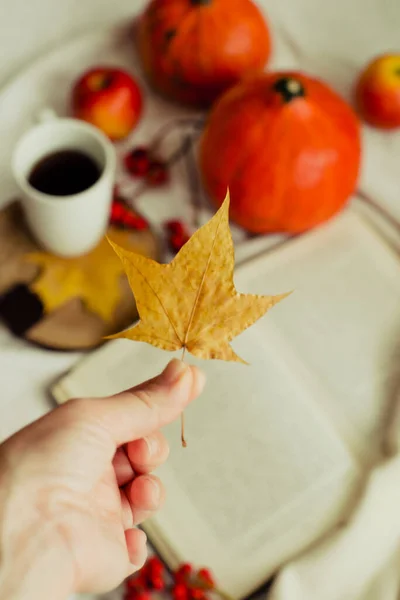 紅茶カボチャのリンゴと黄色の葉のカップの秋の静物を背景に松の黄色の葉で手 秋の気分 — ストック写真