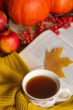 Bir fincan çay örtüsü örülmüş süveter kitabı sarı akçaağaç yaprakları ve balkabağı. Sonbahar havası. Sonbahar ev konforu