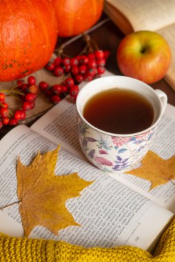 Bir fincan çay örtüsü örülmüş süveter kitabı sarı akçaağaç yaprakları ve balkabağı. Sonbahar havası. Sonbahar ev konforu