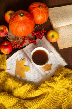 Bir fincan çay örtüsü örülmüş süveter kitabı sarı akçaağaç yaprakları ve balkabağı. Sonbahar havası. Sonbahar ev konforu