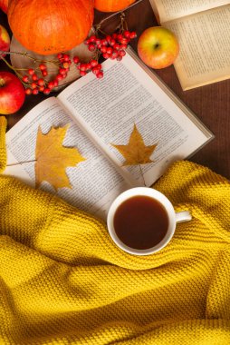 Bir fincan çay örtüsü örülmüş süveter kitabı sarı akçaağaç yaprakları ve balkabağı. Sonbahar havası. Sonbahar ev konforu