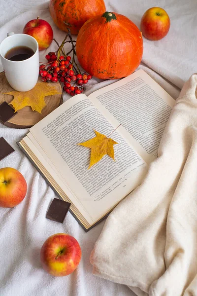 紅茶の居心地の良いニットセーター本黄色のカエデの葉とカボチャのカップ 秋の気分 秋の家庭の快適 — ストック写真