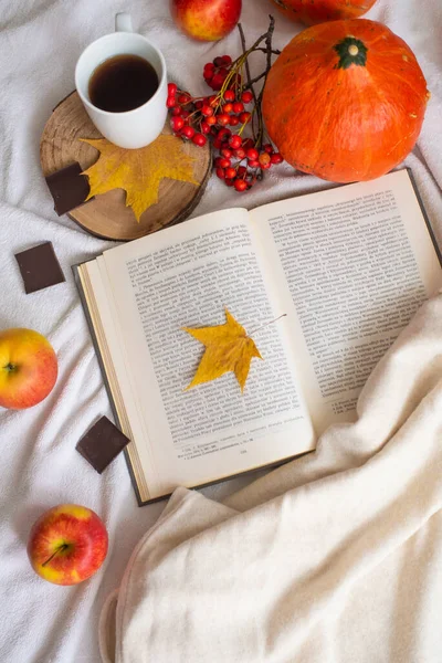 紅茶の居心地の良いニットセーター本黄色のカエデの葉とカボチャのカップ 秋の気分 秋の家庭の快適 — ストック写真