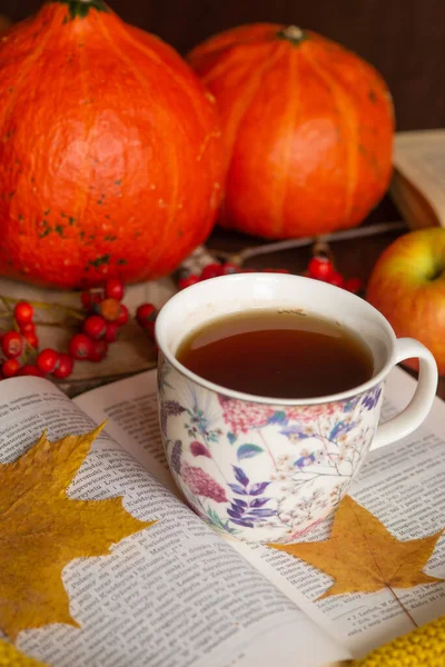 Tasse Thé Confortable Chandail Tricoté Feuilles Érable Jaune Citrouille Humeur — Photo