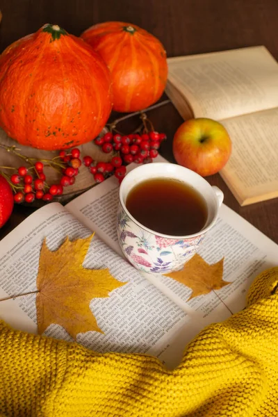 Tasse Thé Confortable Chandail Tricoté Feuilles Érable Jaune Citrouille Humeur — Photo