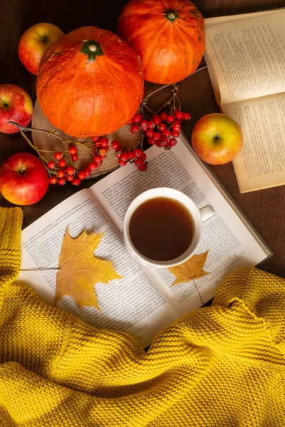 Tasse Thé Confortable Chandail Tricoté Feuilles Érable Jaune Citrouille Humeur — Photo