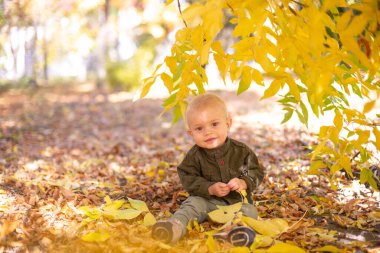 Küçük bir çocuk sonbahar parkında sarı yapraklarla oynuyor. Sonbahar havası
