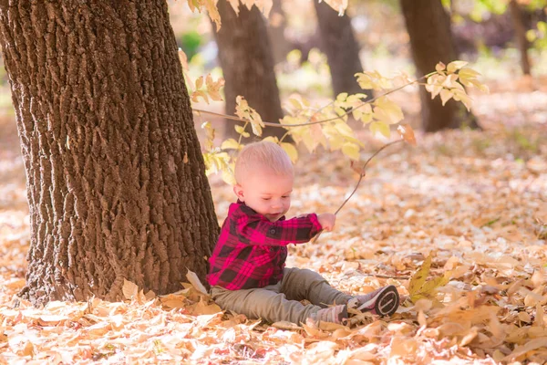 黄色の葉の秋の公園で小さな男の子が遊んでいます 秋の気分 — ストック写真