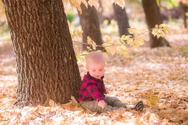 Little Boy Plays Autumn Park Yellow Leaves Autumn Mood — Stock Photo, Image