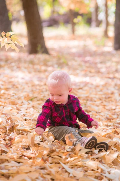 Ein Kleiner Junge Spielt Herbstpark Gelben Blättern Herbststimmung — Stockfoto
