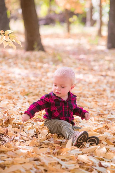 Little Boy Plays Autumn Park Yellow Leaves Autumn Mood — Stock Photo, Image