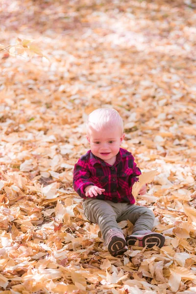 Ein Kleiner Junge Spielt Herbstpark Gelben Blättern Herbststimmung — Stockfoto