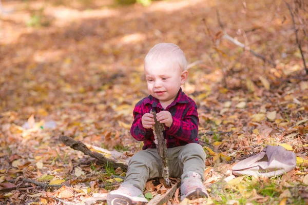 一个小男孩在秋天的公园里玩黄叶游戏 秋天的心情 — 图库照片