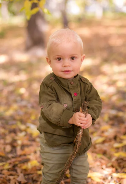 Liten Pojke Leker Höstparken Gula Löv Höststämning — Stockfoto