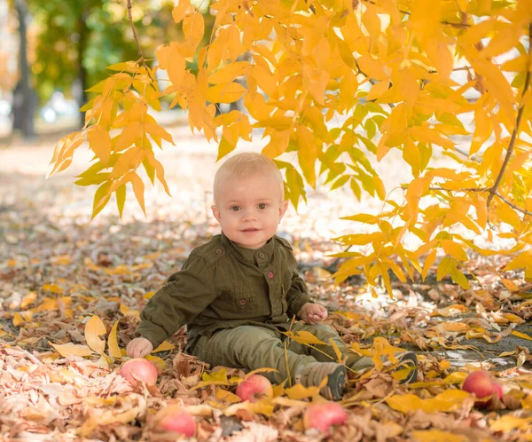 Little Boy Plays Autumn Park Yellow Leaves Autumn Mood — Stock Photo, Image