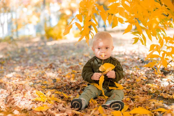黄色の葉の秋の公園で小さな男の子が遊んでいます 秋の気分 — ストック写真