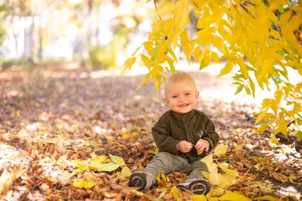 Маленький Мальчик Играет Осеннем Парке Желтых Листьях Осеннее Настроение — стоковое фото