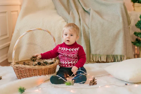 Маленький Мальчик Плетеной Корзиной Еловыми Шишками Комнате Украшенной Рождество Рождественское — стоковое фото
