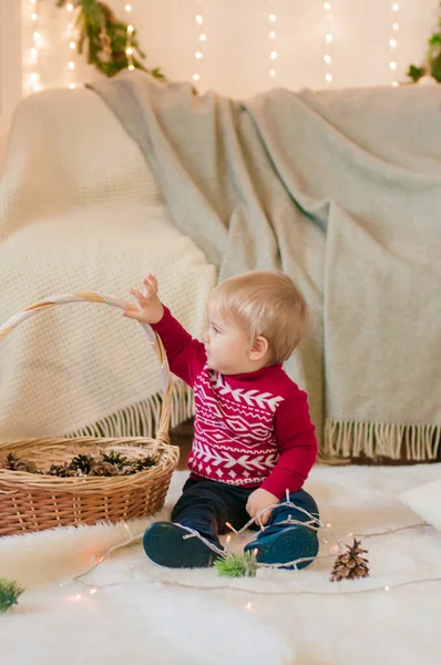 Ένα Μικρό Αγόρι Ψάθινο Καλάθι Κουκουνάρια Από Έλατο Ένα Δωμάτιο — Φωτογραφία Αρχείου