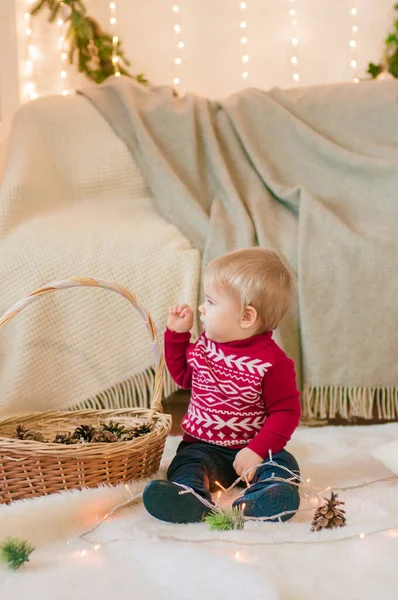 Liten Pojke Med Korg Med Grankottar Ett Rum Inrett Till — Stockfoto