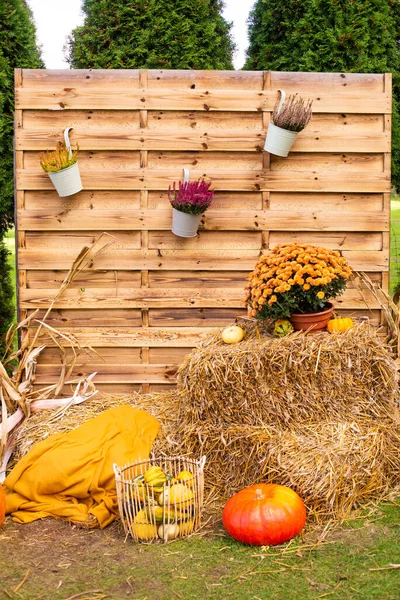 Autumn rural photo zone decorated with autumn flowers, wooden background and various colored pumpkins and hay in the countryside on a sunny autumn day. Autumn mood. utumn holidays