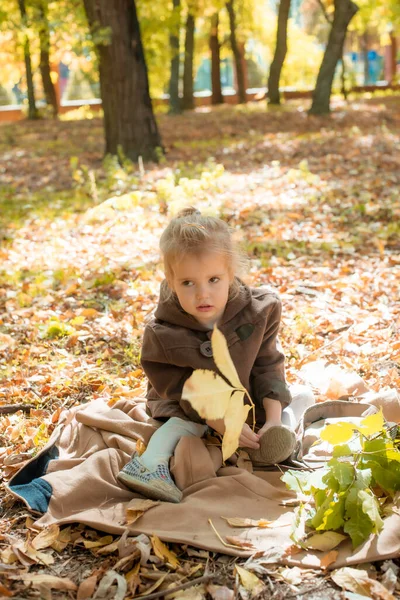 Little Cute Girl Brown Autumn Coat Sunny Autumn Park Yellow — Stock Photo, Image