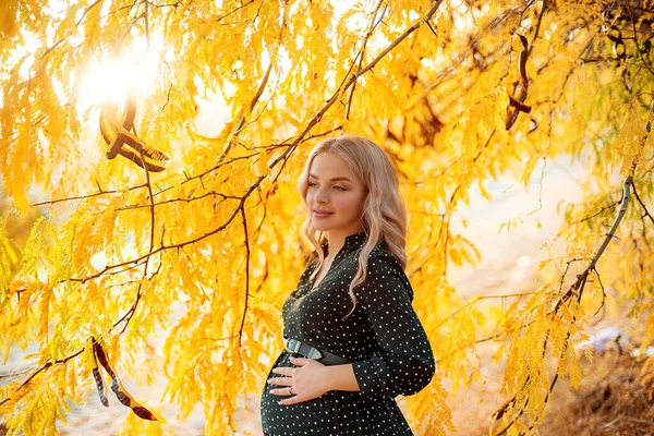Sonbahar Parkında Güneşli Bir Havada Uzun Sarı Saçlı Güzel Hamile — Stok fotoğraf