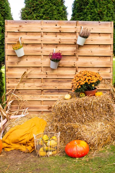 Autumn rural photo zone decorated with autumn flowers, wooden background and various colored pumpkins and hay in the countryside on a sunny autumn day. Autumn mood. utumn holidays