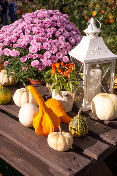 Autumn Wooden Table Decorated Autumn Flowers Various Colored Vintage Lantern — Stock Photo, Image