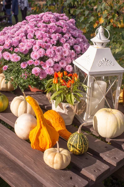 Autumn Wooden Table Decorated Autumn Flowers Various Colored Vintage Lantern — Stock Photo, Image
