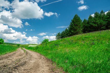 Gökyüzü, kozalaklı orman ve yeşil çayır manzarası