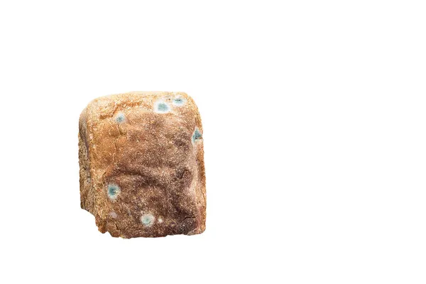 Ізольований Єкт Пліснявого Хліба Забруднена Їжа Fungus — стокове фото