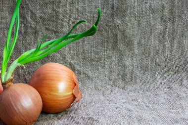 Bir sebzeye yakın çekim. Arkaplan ve tasarım için yüzey üzerinde eğilin