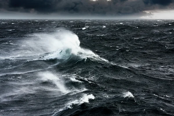 Gale