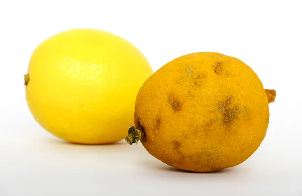 Citron frais et rassis — Photo