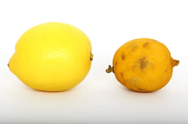 Frische und abgestandene Zitrone — Stockfoto
