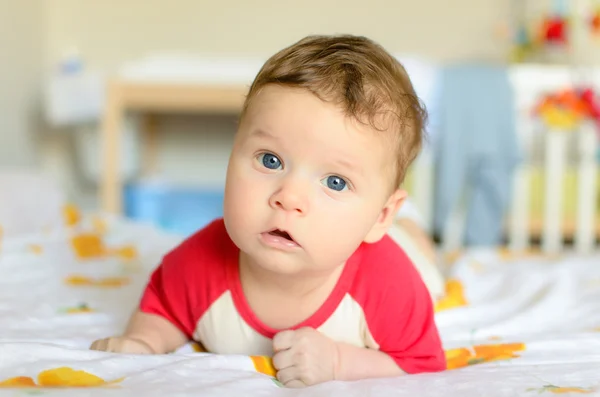 Abbey Kilisesi tarlasında