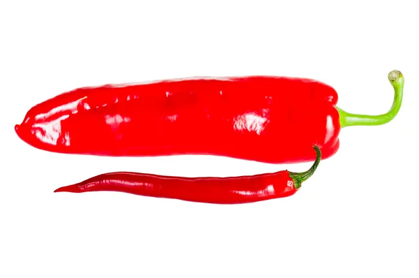 Piments rouges chauds isolés sur blanc — Photo