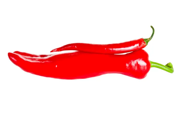 Peperoni peperoncino rosso caldo isolati su bianco Fotografia Stock