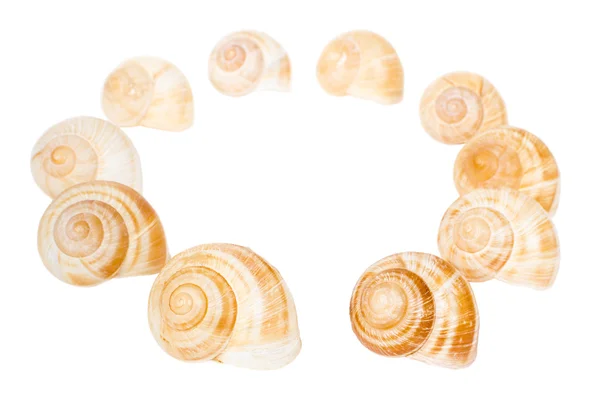Circle of spiral shells isolated — Stock Photo, Image