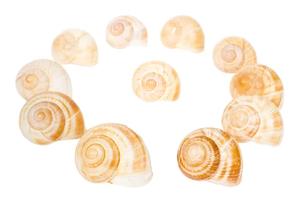 Circle of spiral shells isolated — Stock Photo, Image