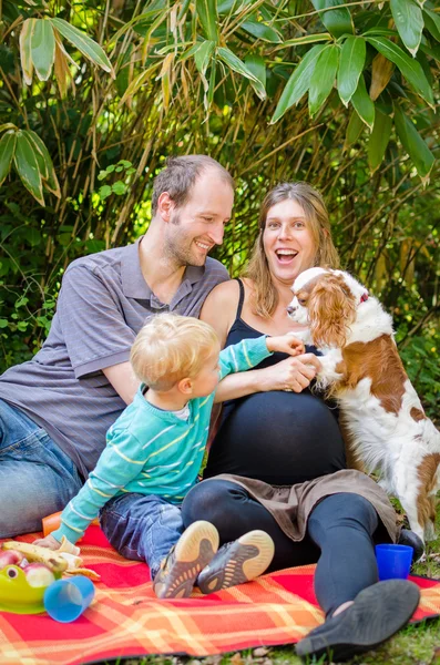 Gelukkige familie met hun zwangere moeder met picknick in het park — Stockfoto