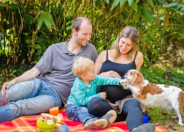 Šťastná rodina se svou těhotnou matkou mají piknik v parku — Stock fotografie